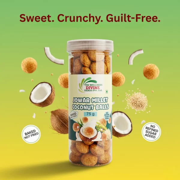 Jowar Millet Coconut Balls – Nutty & Wholesome Bite - 75g
