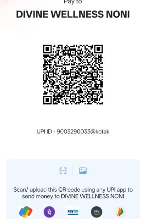 WhatsApp Image 2025-10-17 at 2.03.55 PM